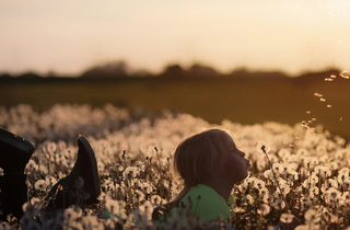 Reducing Earth's temperature,|Creating a sustainable future with eco-friendly energy.
