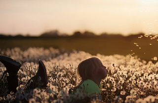 Reducing Earth's temperature,|Creating a sustainable future with eco-friendly energy.